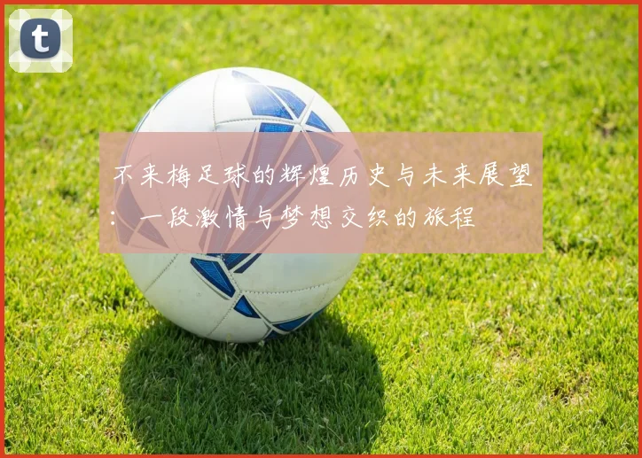 不来梅足球的辉煌历史与未来展望：一段激情与梦想交织的旅程