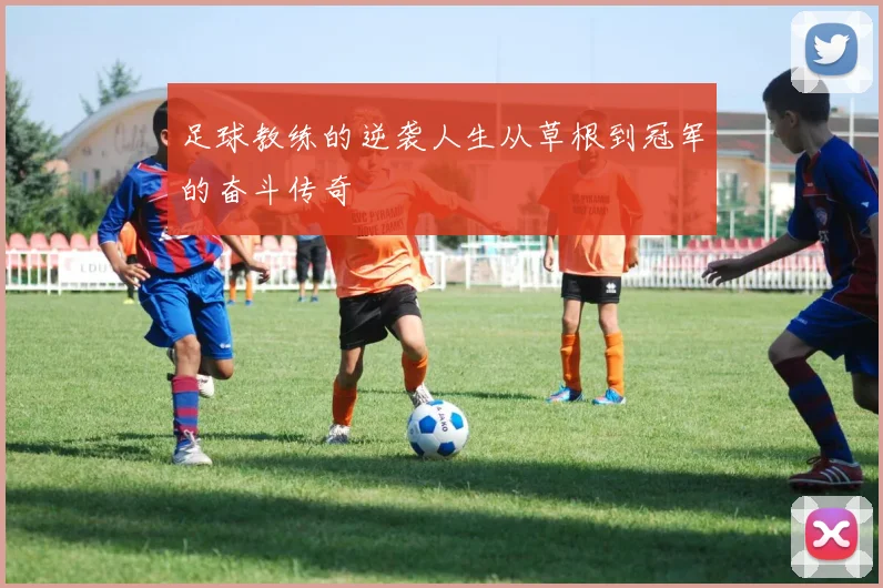 足球教练的逆袭人生从草根到冠军的奋斗传奇