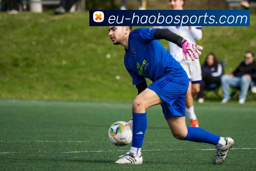 好博体育平台APP 高清赛事图